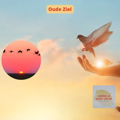 Oude Ziel vogel