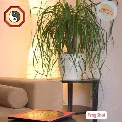 Feng Shui woonkamer