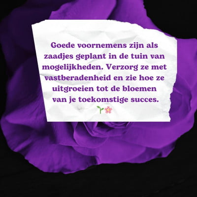Goede voornemens!!