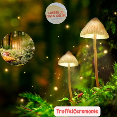 Truffel ceremonies