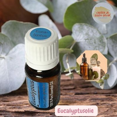 Eucalyptusolie flesje