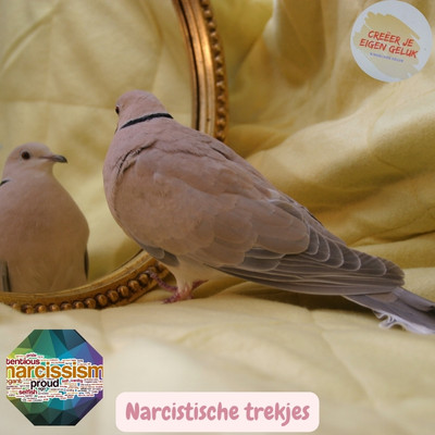 Narcistische trekjes vogel