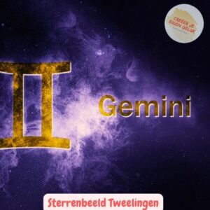 Het Sterrenbeeld Tweelingen